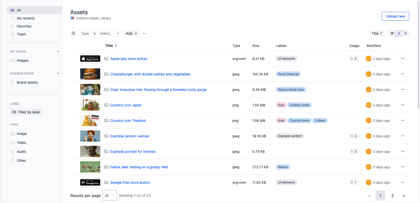 The asset library in large list view, showing a larger thumbnail next to each asset's metadata.