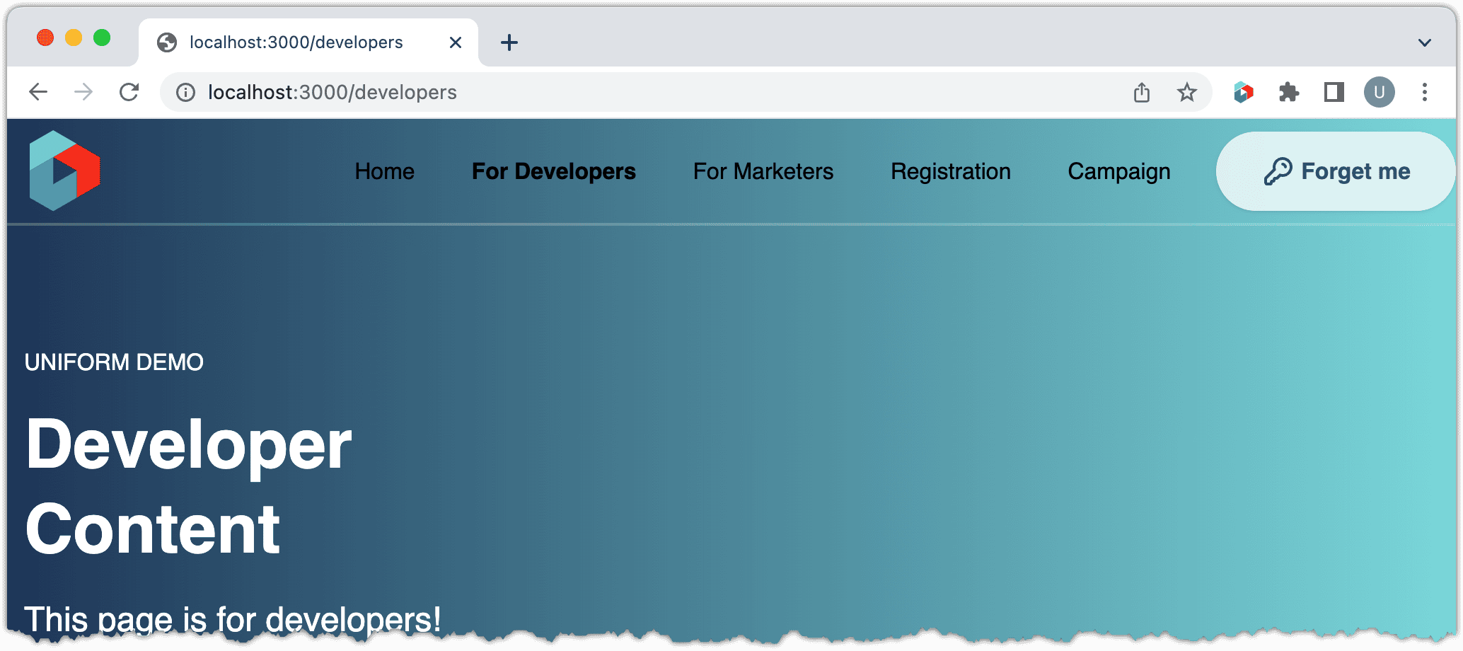 localhost-page-developers